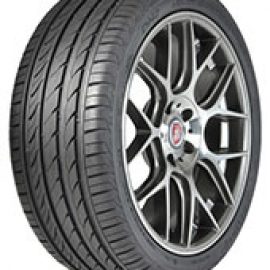 Pneus Delinte  dimension 225/55 R16 99W DH2 XL