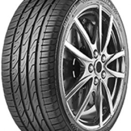 Pneus Autogreen  dimension 225/45 R17 91W SUPERSPORTCHASER SSC5 RFT