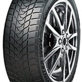 Pneus Delinte  dimension 175/70 R14 88T WD1 XL
