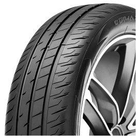 Pneus Radar  dimension 195/55 R20 95H Dimax Eco XL
