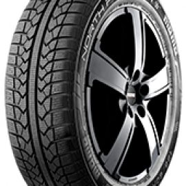 Pneus Momo  dimension 165/70 R14 85T W-1 North Pole XL